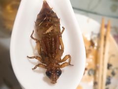 -金台阶鱼馆(于桥水库店)