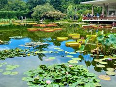 -国家植物园南园