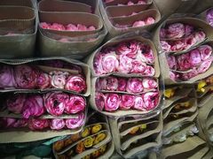 -昆明国际花卉拍卖交易中心