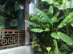 -十八棵（老龙井）御茶园(老龙井店)