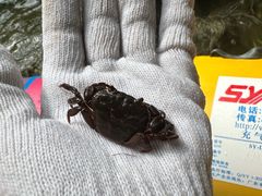 -平江沱龙峡漂流