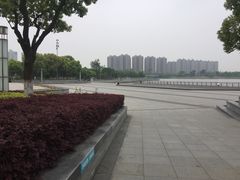 -映月湖中央公园