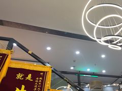 -半岛宠物医院24小时·内窥镜·牙科·碎石中心(府城大道店)