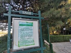 -玲珑塔公园