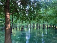 -常州九洲环宇大酒店(常州火车站店)