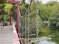 -天鹅湖体育公园