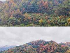 -新安江山水画廊风景区