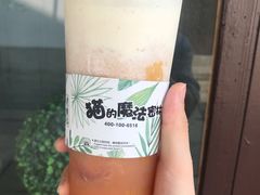 -猫的魔法密林(衣裳街店)