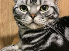 -藦茜花园宠物主题亲子互动体验馆(国顺东路店)