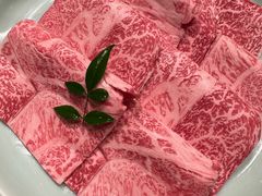 -然锅料理