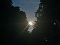 -福建鲤鱼洲酒店