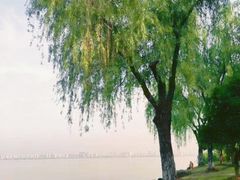 -苏州独墅湖世尊酒店