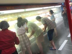 -老马路串串香火锅(北门桥店)
