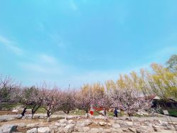 -大望京儿童游乐场