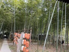 -龙寺生态园