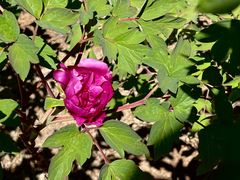 -大钟寺古钟博物馆