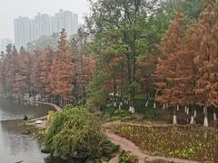 -重庆彩云湖湿地公园