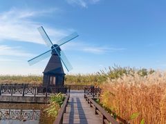 -宁波杭州湾国家湿地公园