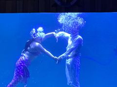 -左海海底世界