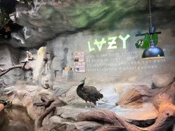 -Zoolung Zoolung动物主题公园(海信广场店)