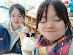 -歎雪糕低糖低脂Gelato冰淇淋
