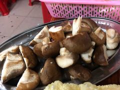 -威邵鸡煲(西华路总店)