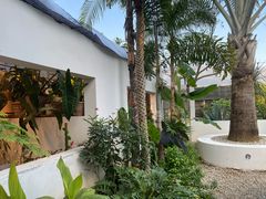 -自由生长植物工作室(深港花卉中心店)
