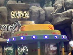 -卡通尼·Safari非洲探索乐园·生日会(金桥国际商业广场店)