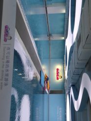 -纯一宝贝儿童游泳中心(生态大街店)