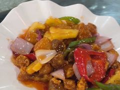 -东鸽皇(奥园·中环广场店)