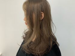 点击看大图 -IDOL PLUS