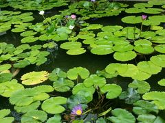 android_upload_pic-普吉岛凯悦酒店