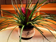 -轻语躺采·采耳·SPA(春熙路店)