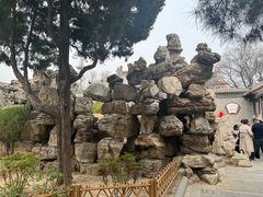 -莲池书院博物馆