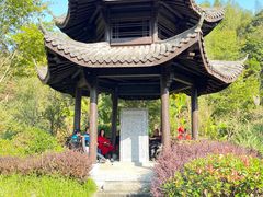 -江西阳明山国家森林公园