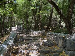 -阳台山自然风景区