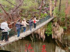 -千岛湖东南湖区