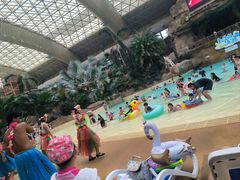 -杭州开元森泊度假乐园