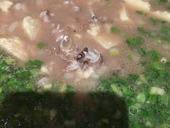 -吕氏疙瘩汤·私家菜馆(慈云寺店)