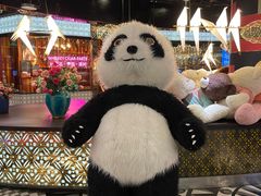 -K+全国连锁KTV(绿地缤纷天地店)