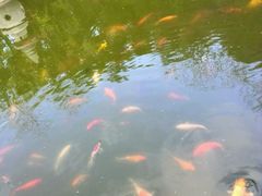 -大光明嘉盛影院