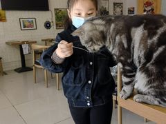 -平行世界·猫咖(首经贸店)