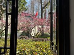 -杭州西湖柳莺里酒店·闻莺厅