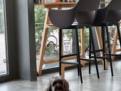 -Dinoo 片场咖啡(酒仙桥店)