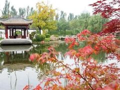 -北京园博大酒店