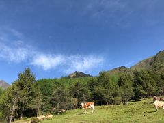 -硗碛藏寨·神木垒景区