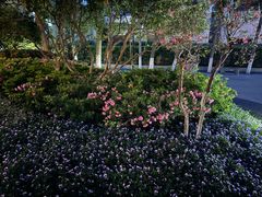 -常州古运河南大街文化旅游区-人民公园