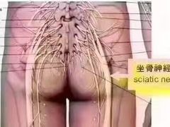 -裕和堂中医推拿艾灸(太古汇臻品店)