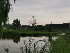 -安德鲁户外烧烤帐篷营地(马泉营店)