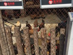 -鱼窝棚柴火铁锅炖(富山屯店)